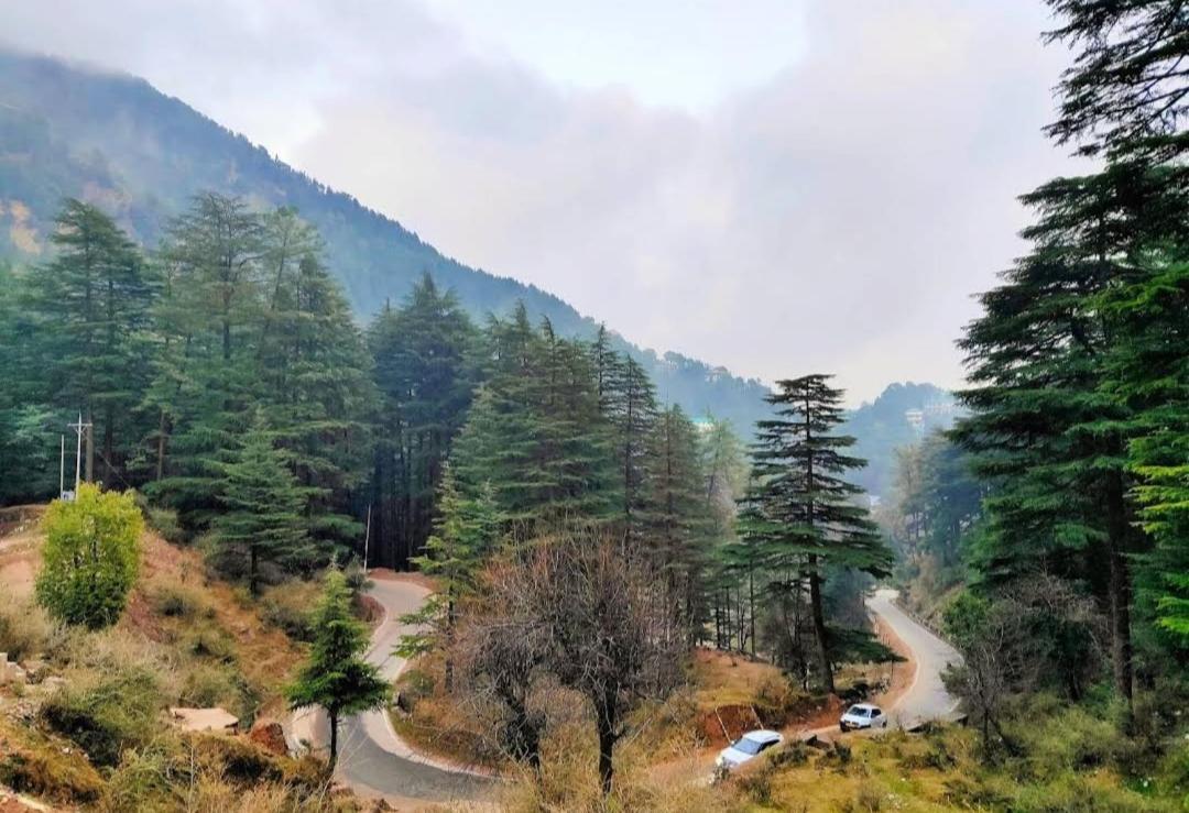 The Lake Cottage By Vrb Hotels Mcleodganj Dharamshala Buitenkant foto